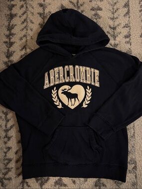 Abercrombie hoodie with glitter logo, Size  9/10